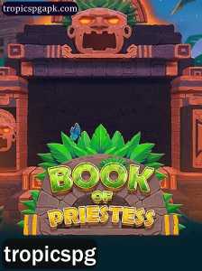 Descubra o Envolvente Mundo de BookOfPriestess