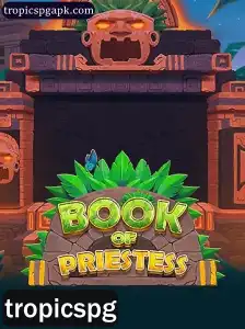 Descubra o Envolvente Mundo de BookOfPriestess